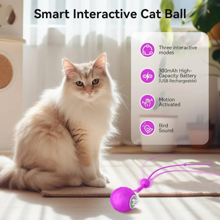Interactive Cat Toys Ball for Indoor CatsAutomatic Kitten Toys for Bored Indoor Adult Cats Motioctivated USB Rechargeable Purpl