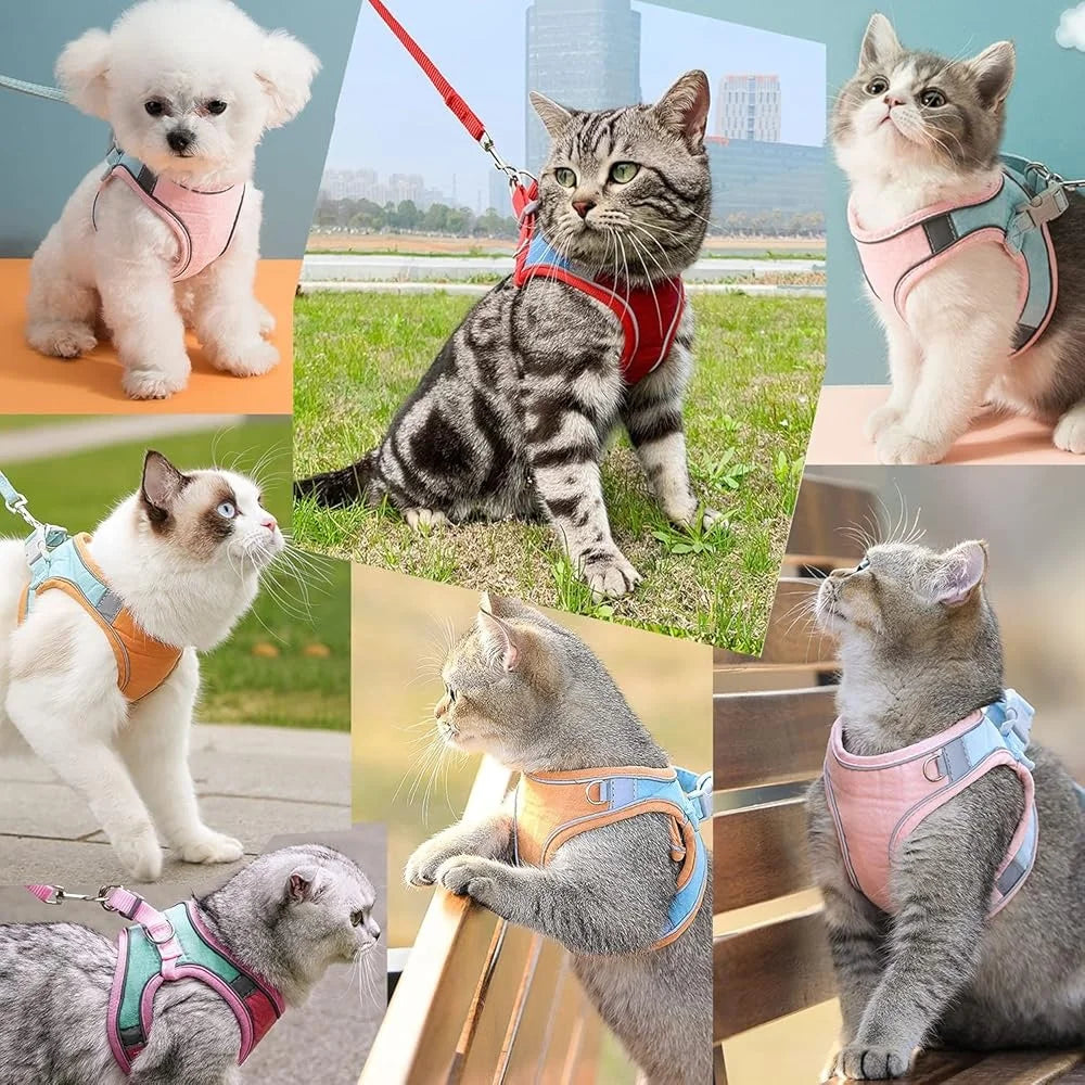 Escape Proof Cat Harness Leash Collar Set Adjustable Reflective Vest Easy Control Walking Pet Supplies Suitable Kittens Puppies