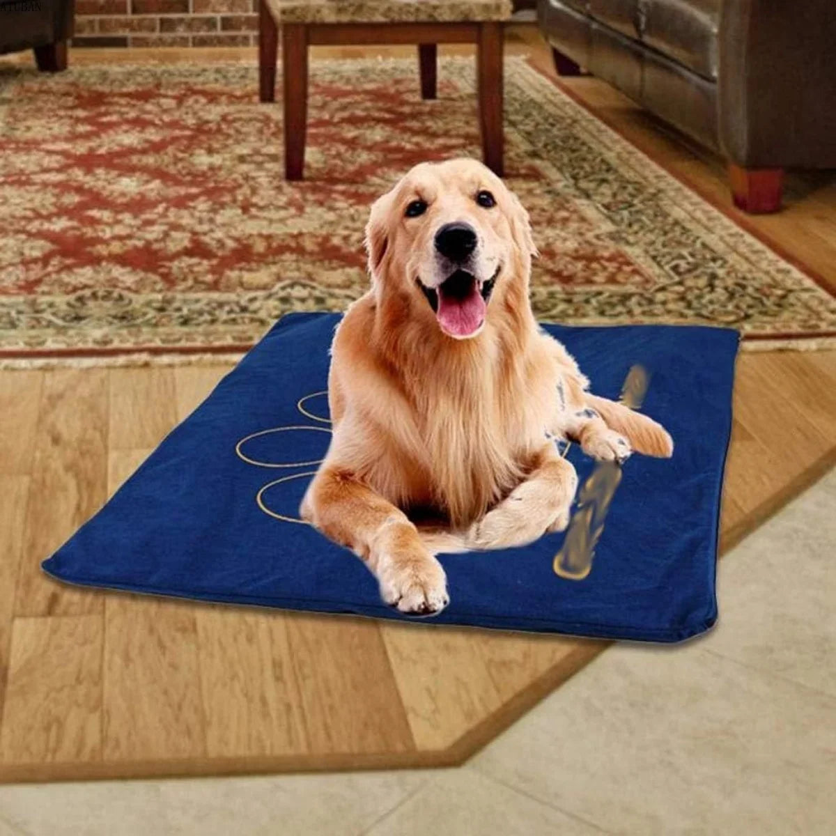Indoor Pet Heating Pads for Cats and Dogs with Chew-Resistant Cord. Long-Time Working Electric Pet Heated Mat