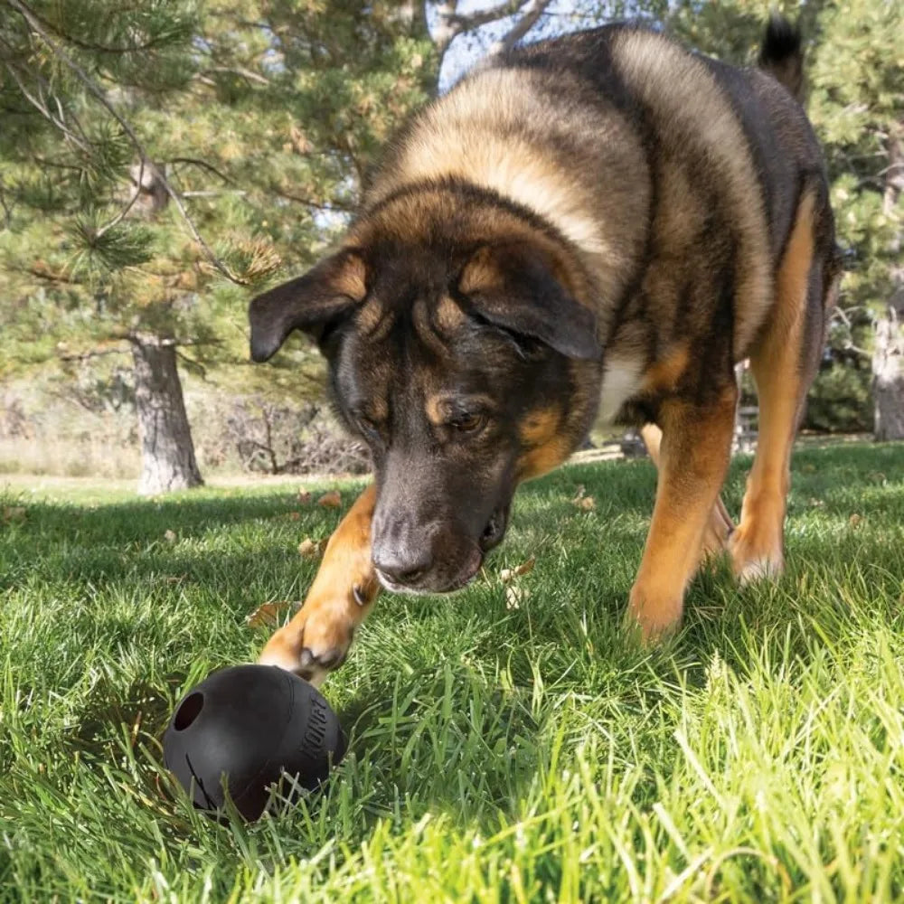 KONG Extreme Ball 2-Pack – Durable Rubber Dog Toy for Power Chewers – Tough Fetch Ball with Hole for Treats – Ideal for Training