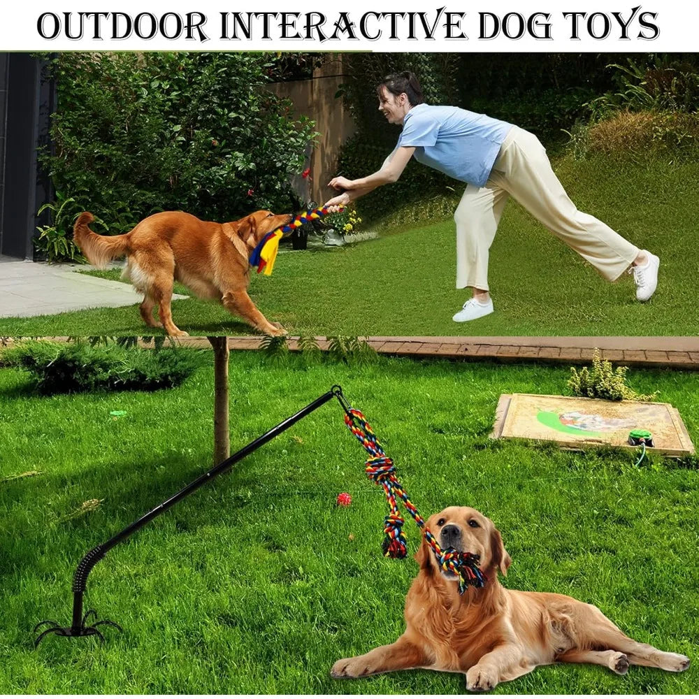 Outdoor Interactive Dog Toys,Tether Tug Outdoor Dog Toy Exercise Equipment in Yard Park with 2 Rope Toy for Large Medium Small D