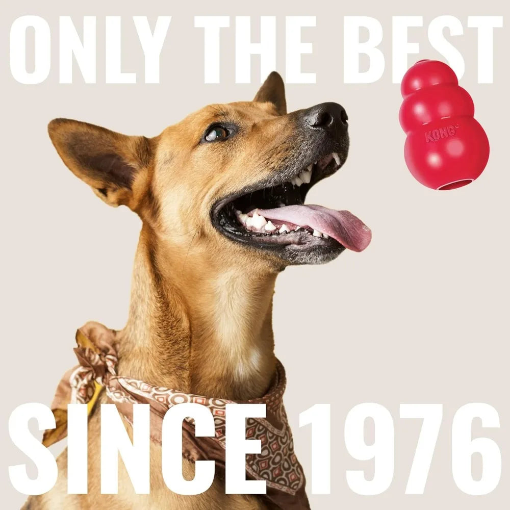 KONG Floppy Knots & Signature Balls (2 Pack) - Knotted Dog Toy Entices Play & Satisfies Instincts - Dog Supplies with Minimal St