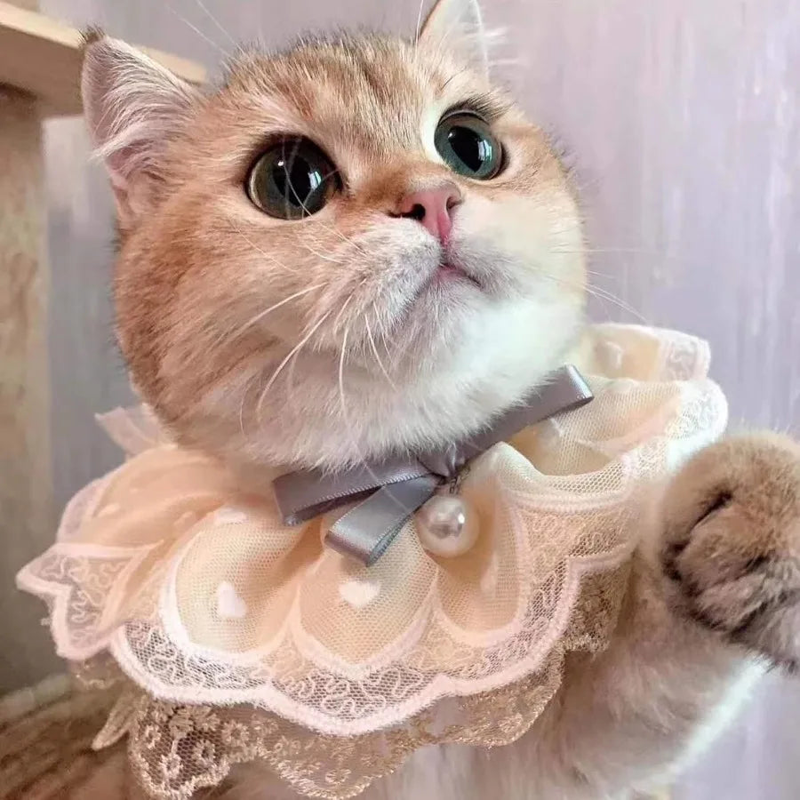 2PCS Dog Cat Collar Pearl Pet Bib Cute Scarfs Necklace Neck Strap for Pet Costume plies