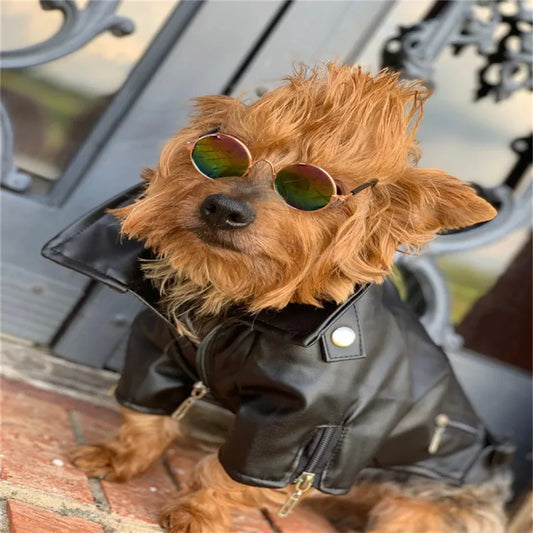 Glorious Eagle Pattern Dog Coat PU Leather Jacket Soft Waterproof Outdoor Puppy Outerwear Fashion Clothes For Small Pet(XXS-XXL)