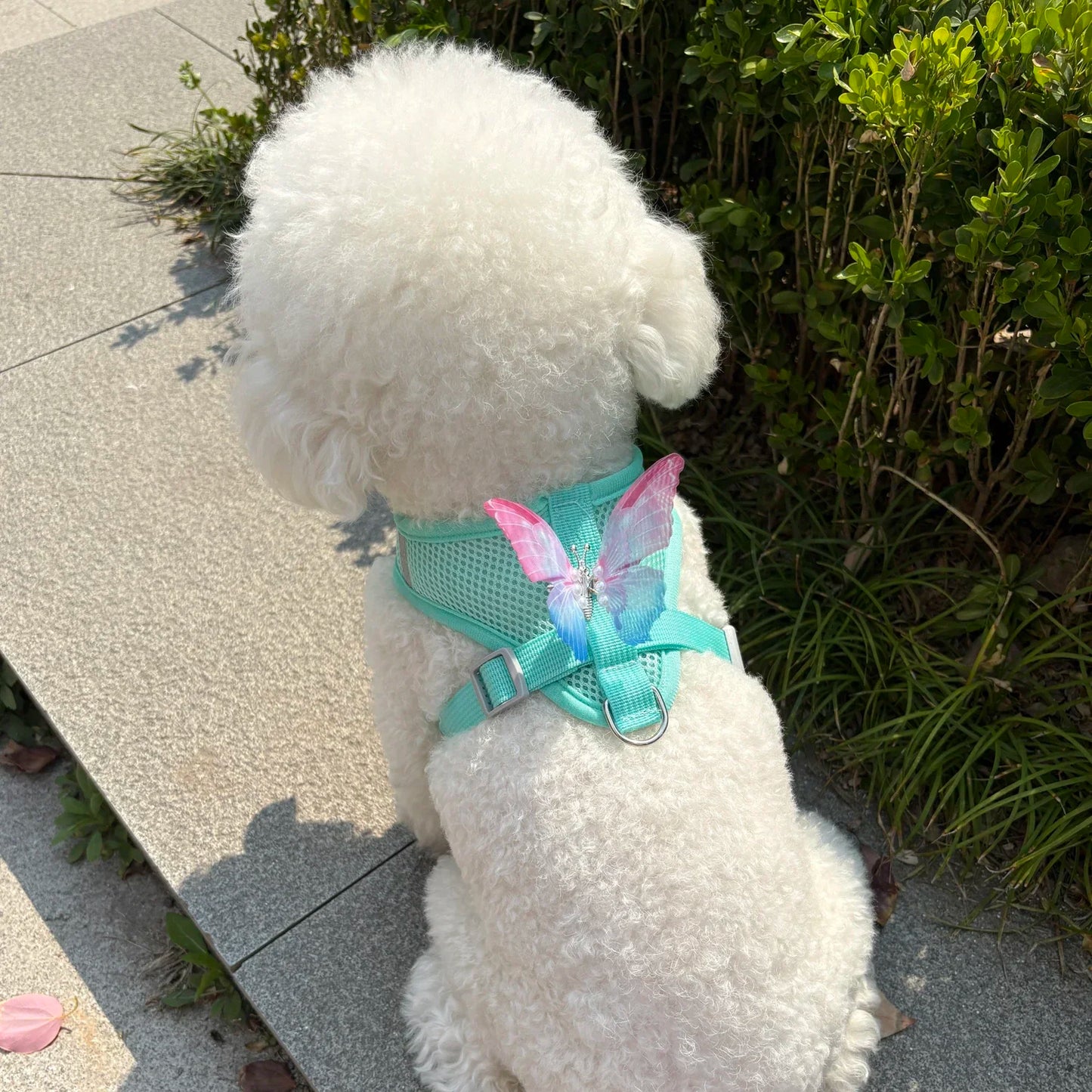 Butterfly Cute Breathable Dog Harness Set for Small Dogs Cat Puppy Chest Vest Leash Outdoor Walking Pet Accessories Summer