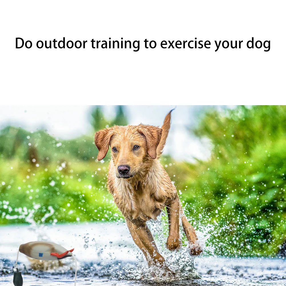 Pet Dog Training Fake Duck The Bird Dummy Teaches Mallard Waterfowl Game Retrieval Duck Bite Chewing Toys Perfect Size For All