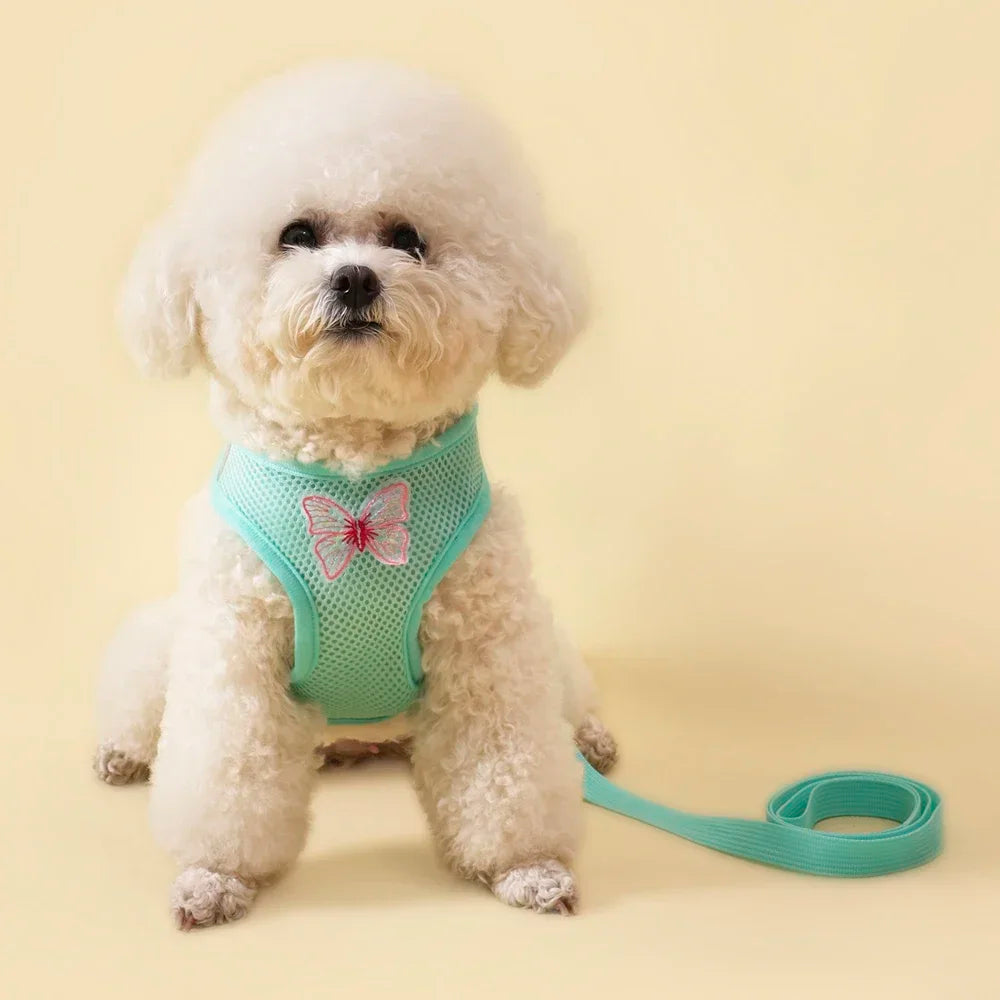 Butterfly Cute Breathable Dog Harness Set for Small Dogs Cat Puppy Chest Vest Leash Outdoor Walking Pet Accessories Summer