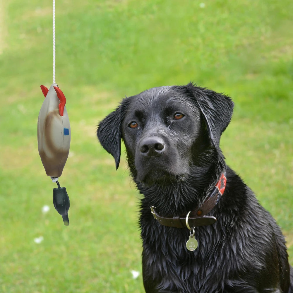 Pet Dog Training Fake Duck The Bird Dummy Teaches Mallard Waterfowl Game Retrieval Duck Bite Chewing Toys Perfect Size For All
