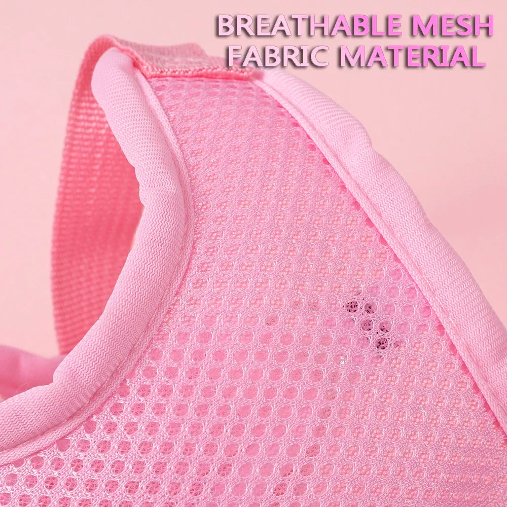 Butterfly Cute Breathable Dog Harness Set for Small Dogs Cat Puppy Chest Vest Leash Outdoor Walking Pet Accessories Summer