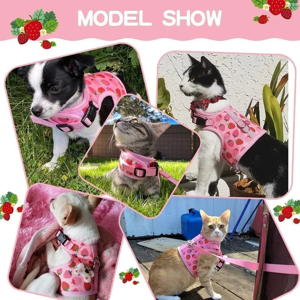 Escape Proof Cat Harness with Leash Fashionable Breathable Mesh Adjustable Vest Small Dogs Puppies Outdoor Walking Safety