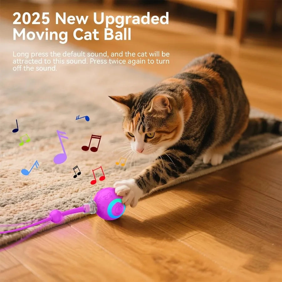 Interactive Cat Toys Ball for Indoor CatsAutomatic Kitten Toys for Bored Indoor Adult Cats Motioctivated USB Rechargeable Purpl