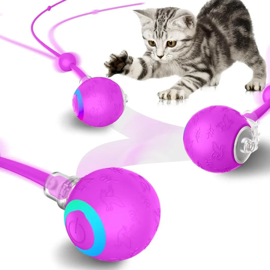 Interactive Cat Toys Ball for Indoor CatsAutomatic Kitten Toys for Bored Indoor Adult Cats Motioctivated USB Rechargeable Purpl