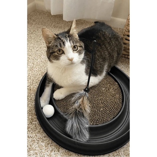 Turbo Scratcher Interactive Cat Toy and Scratcher Engaging Ball Track Durable Replaceable Scratch Pad Non-Skid Feet Feline Fun