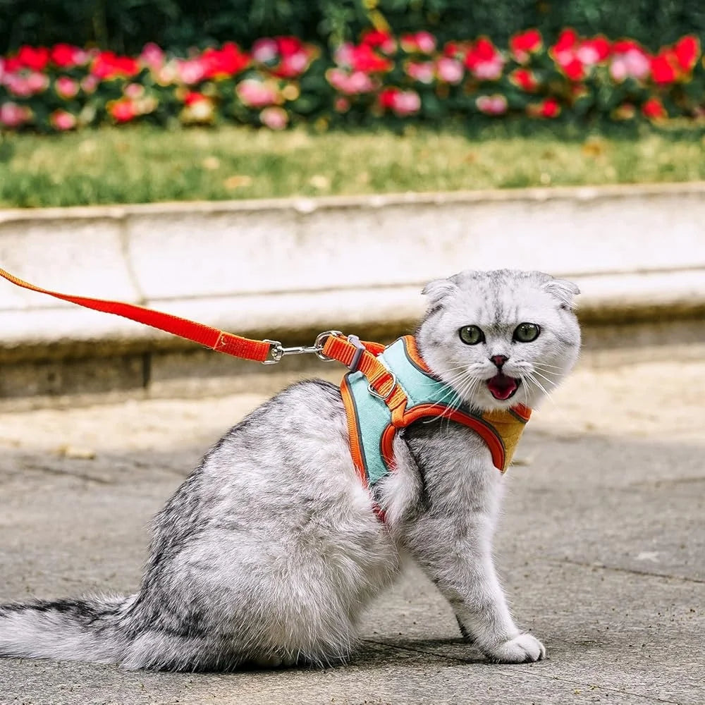 Escape Proof Cat Harness Leash Collar Set Adjustable Reflective Vest Easy Control Walking Pet Supplies Suitable Kittens Puppies